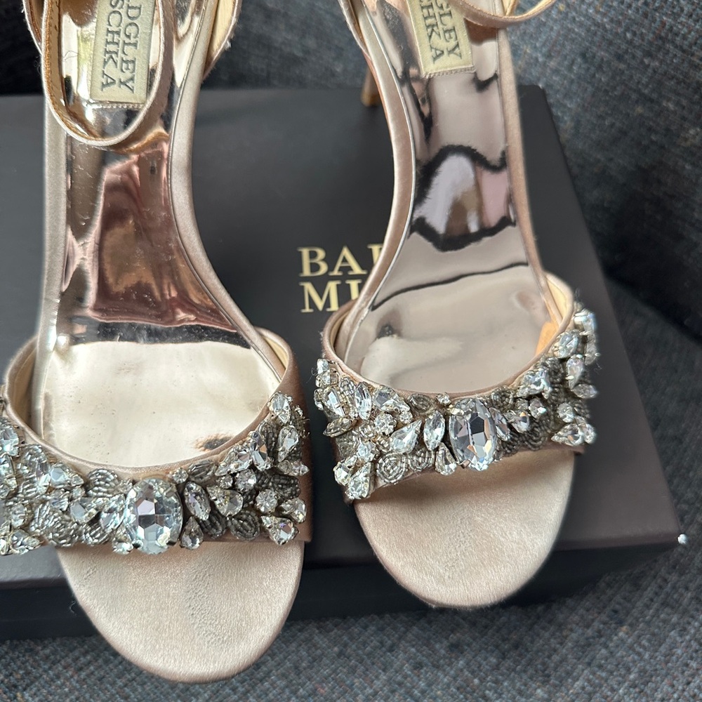 Badgley Mischka Crystal Shoes - Picture 9 of 10